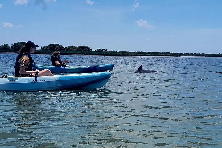 Kayaking St. Augustine's Original Dolphin Tour - Photo 1 of 6